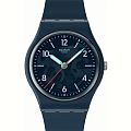 Часы Swatch Gent Biosourced Lacquered SO28N118